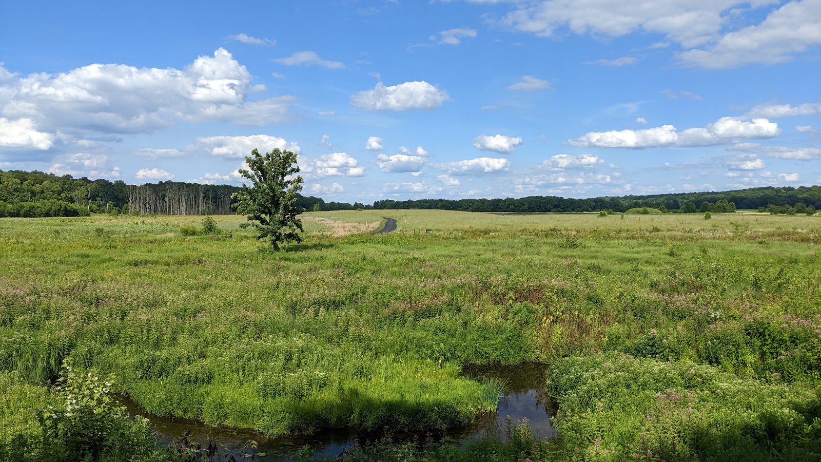 Prophetstown State Park