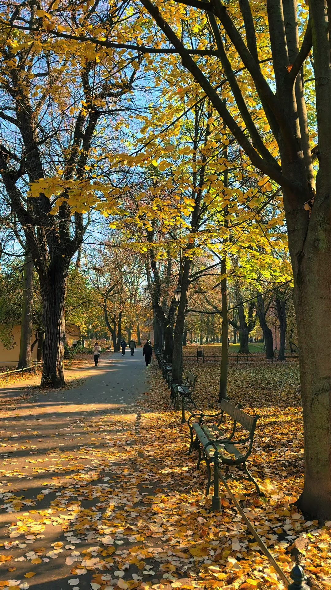 פארק בלניק וסמטאות הרובע העתיק (Planty Park)