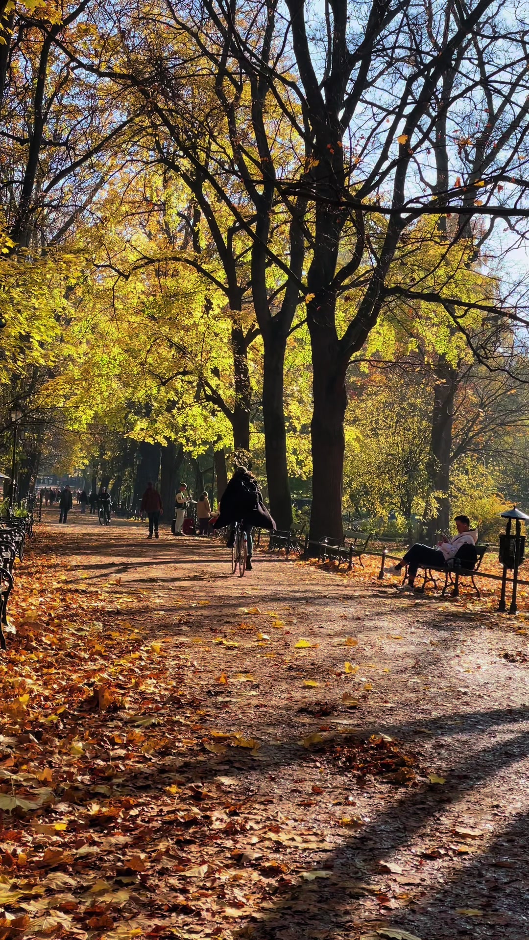 פארק בלניק וסמטאות הרובע העתיק (Planty Park)