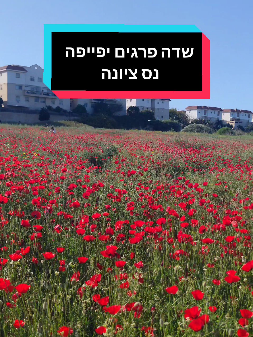 פארק החיילים החדשים