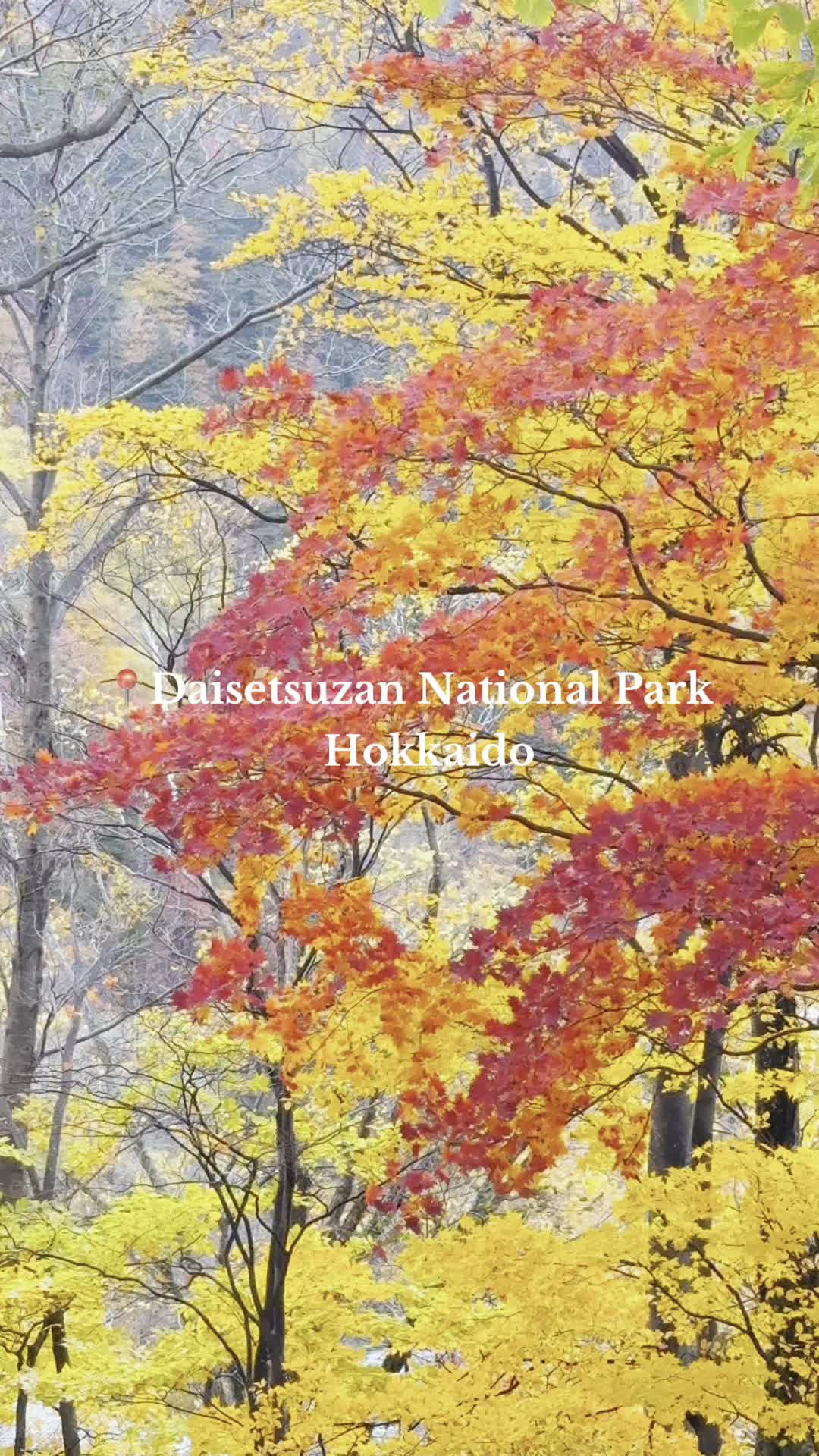 פארק הלאומי דוטו (Daisetsuzan National Park)