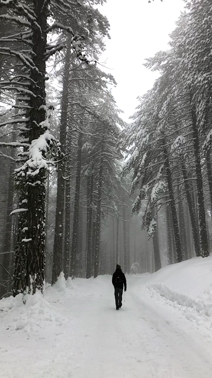 פארק הלאומי טרודוס - מסלולי הליכה (Troodos National Forest Park)