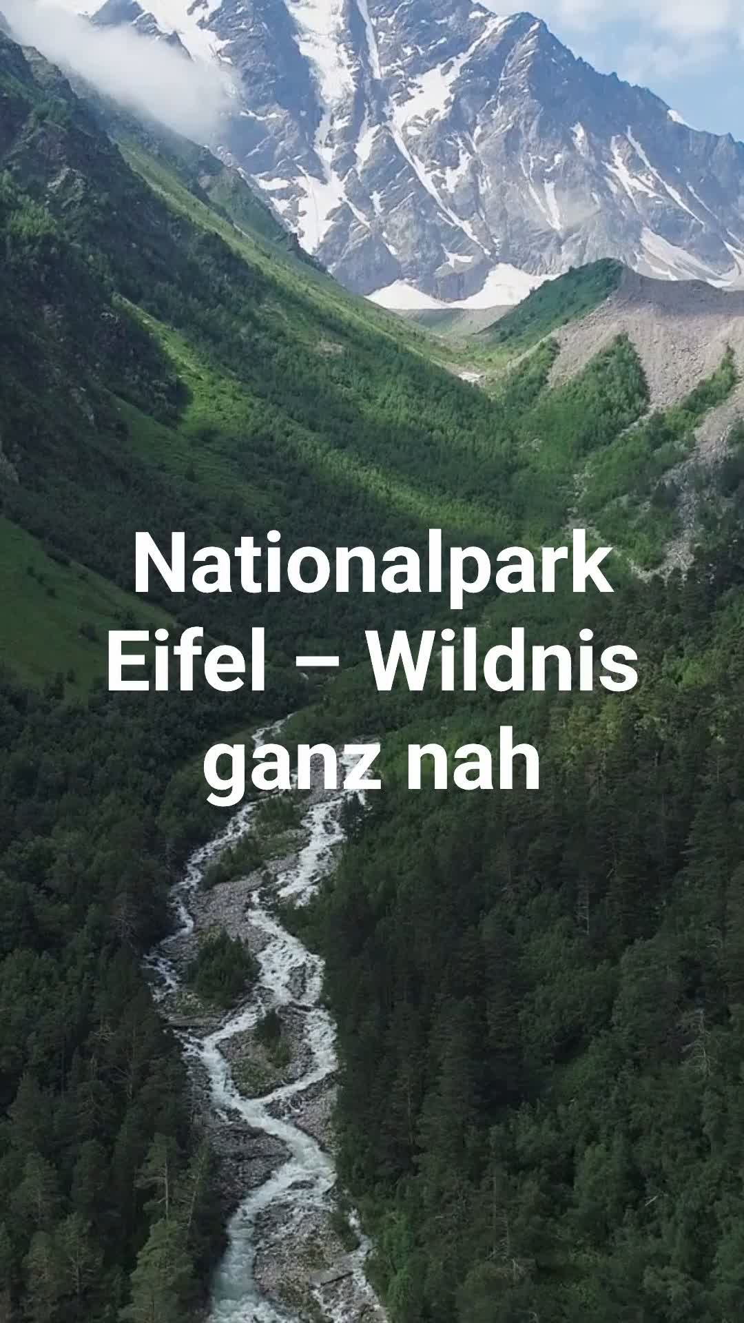 פארק הלאומי אייקר (Eifel National Park)
