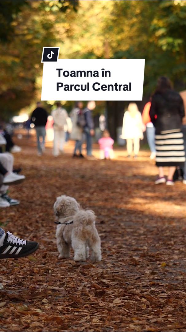 פארק המרכז (Parcul Central Simion Bărnuțiu)