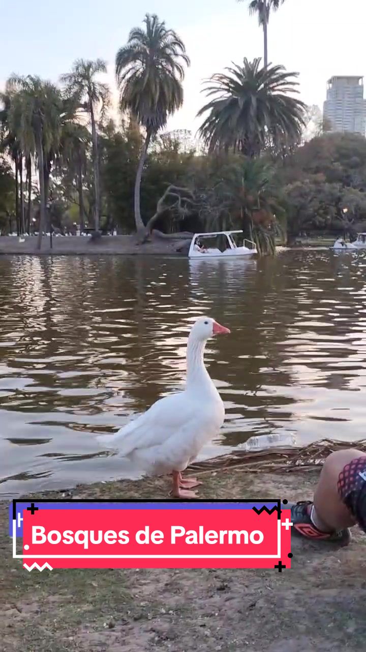 פארק המשחקים Bosques de Palermo