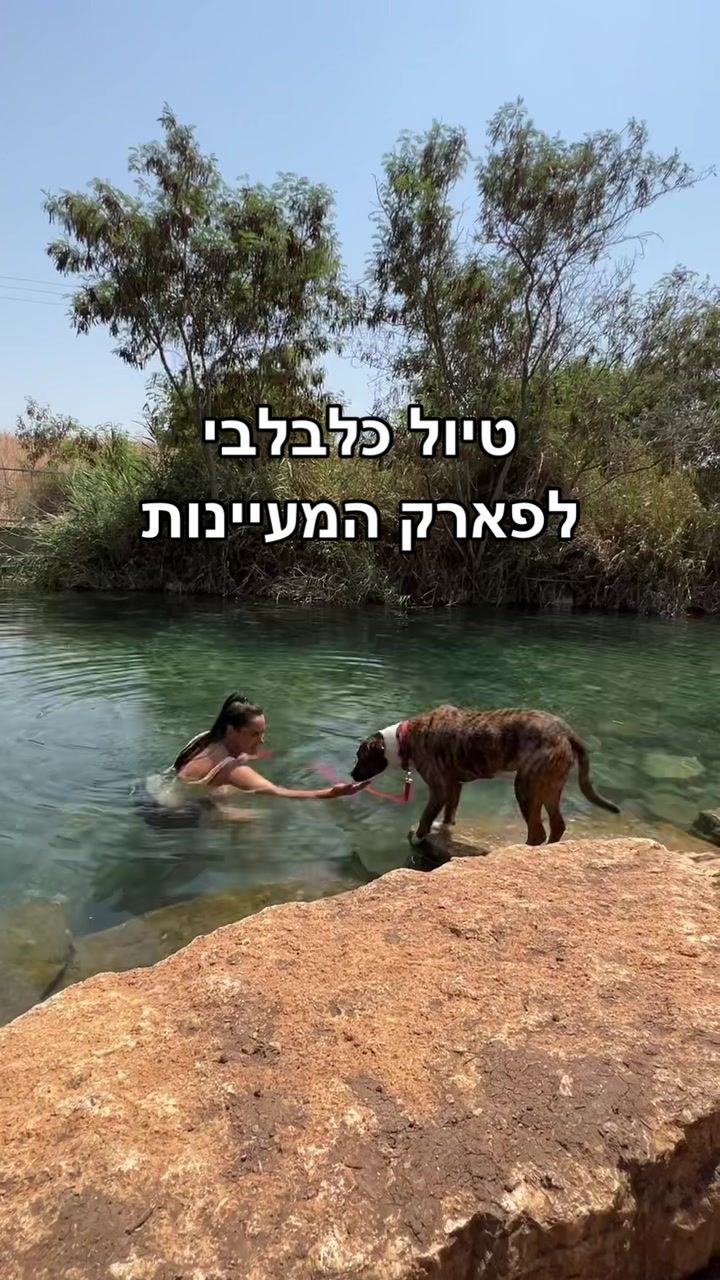 פארק המים Upendo Watersports