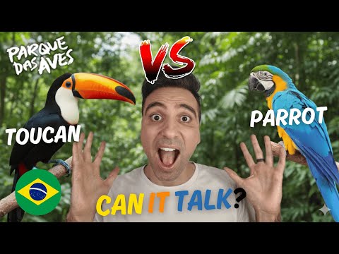 פארק הציפורים Parque das Aves