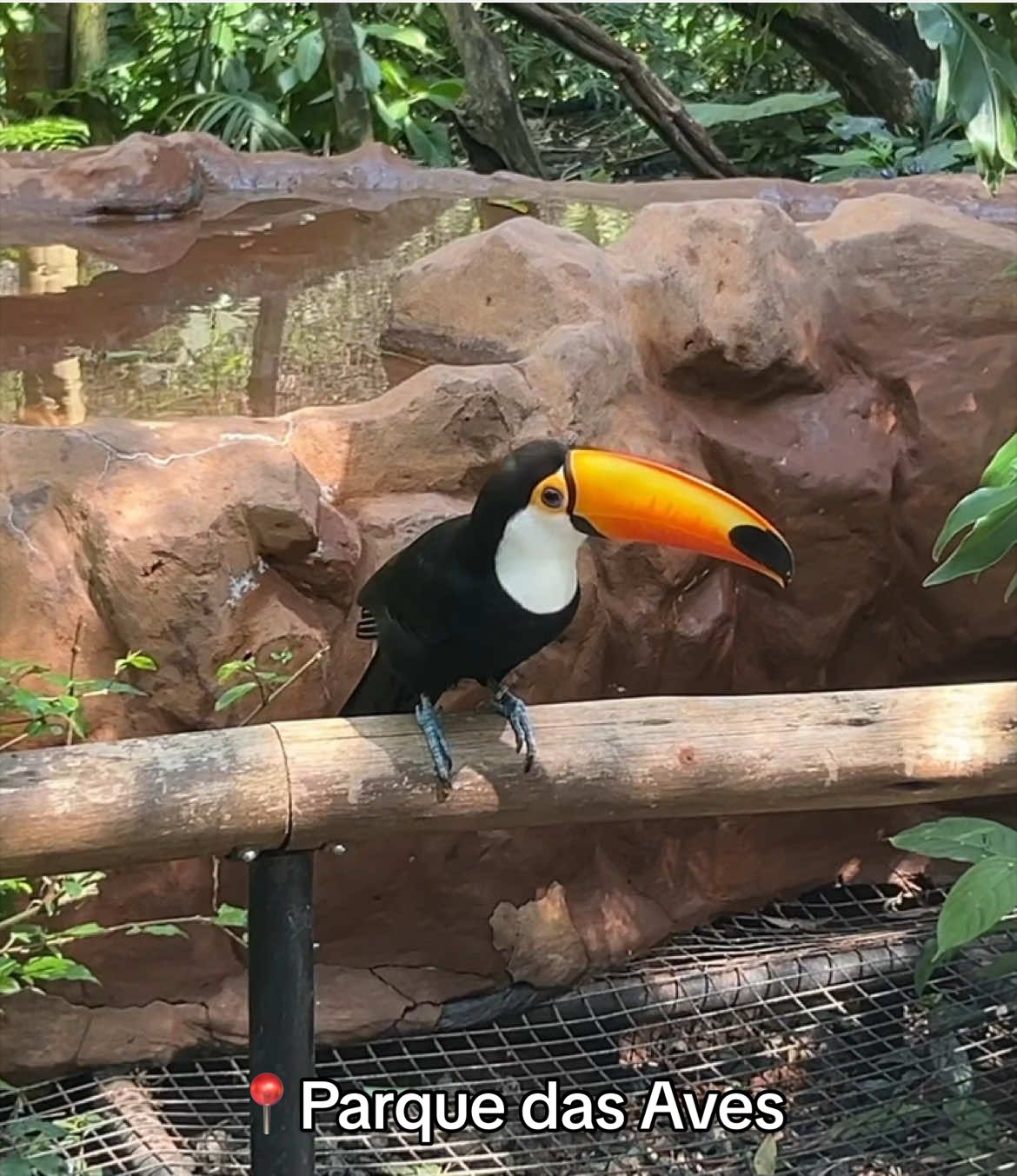 פארק הציפורים Parque das Aves