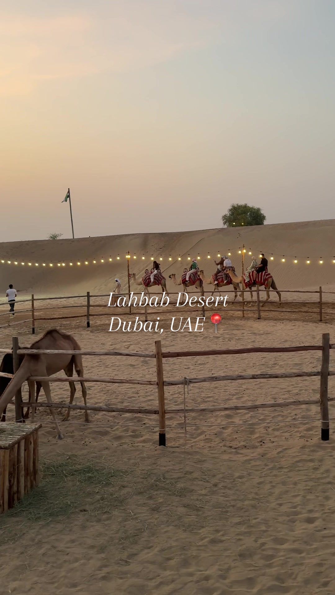 פארק חיות המדבר – Arabian Wildlife Park