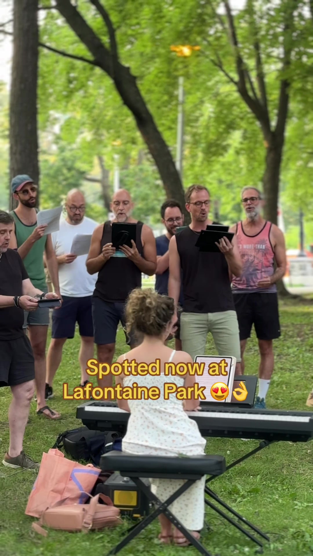פארק Lafontaine