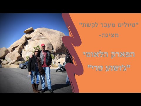 פארק לאומי ג'ושוע טרי