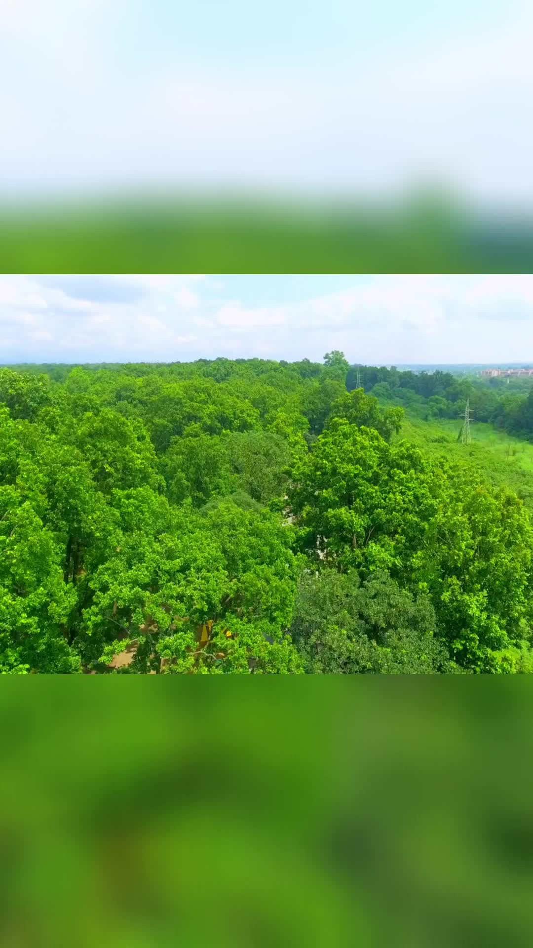 פארק לאומי סנג'יי גנדי (Sanjay Gandhi National Park)