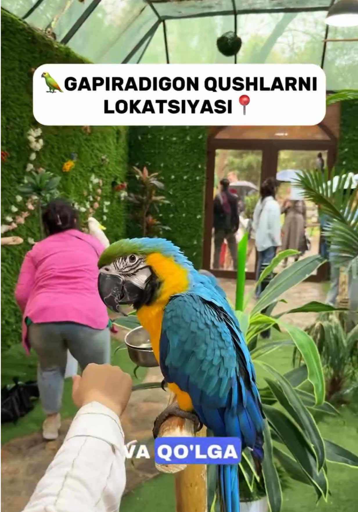 פארק אקוודוקט