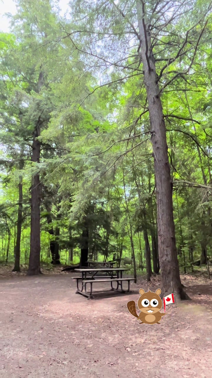 פארק קילארני (Killarney Provincial Park)