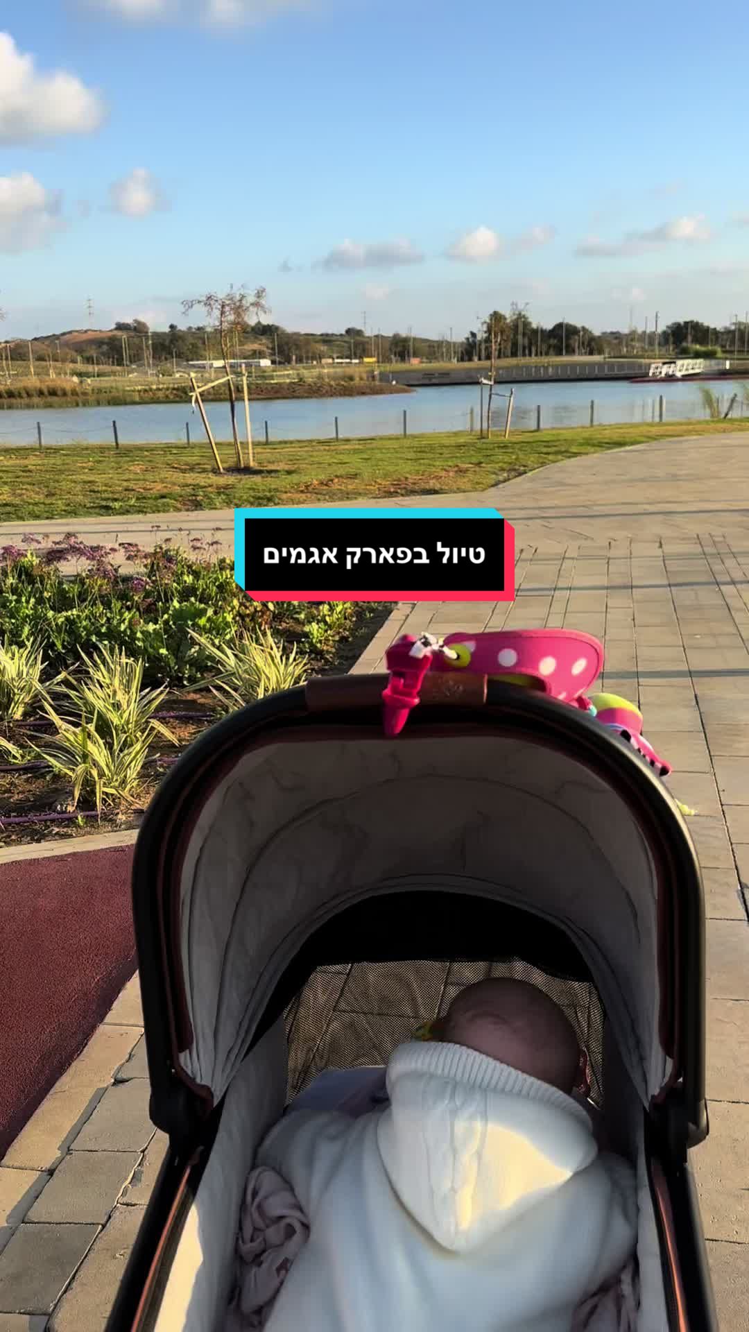 פארק ראנטמבור – ספארי טיגריסים