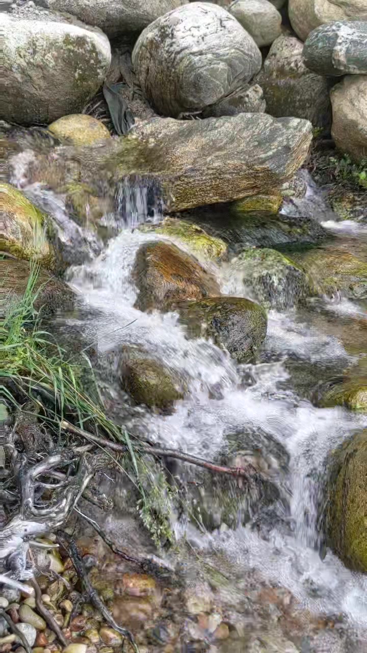 פארק ארוואסקה (Awenda Provincial Park)