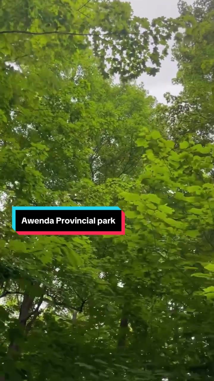 פארק ארוואסקה (Awenda Provincial Park)