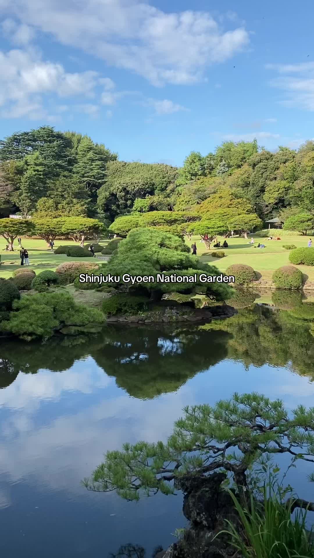 פארק שינגווקו גיון (Shinjuku Gyoen National Garden)