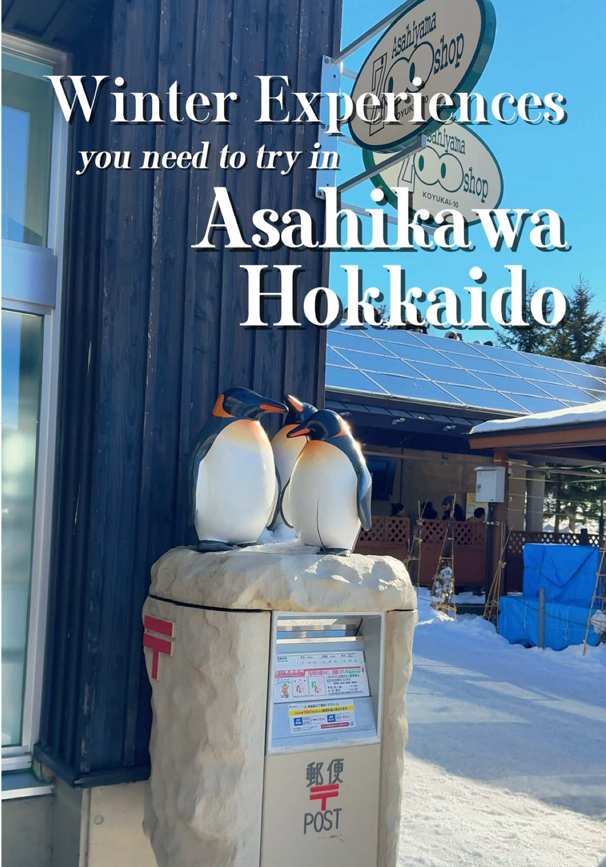 פארק אסקי (Asahiyama Zoo)