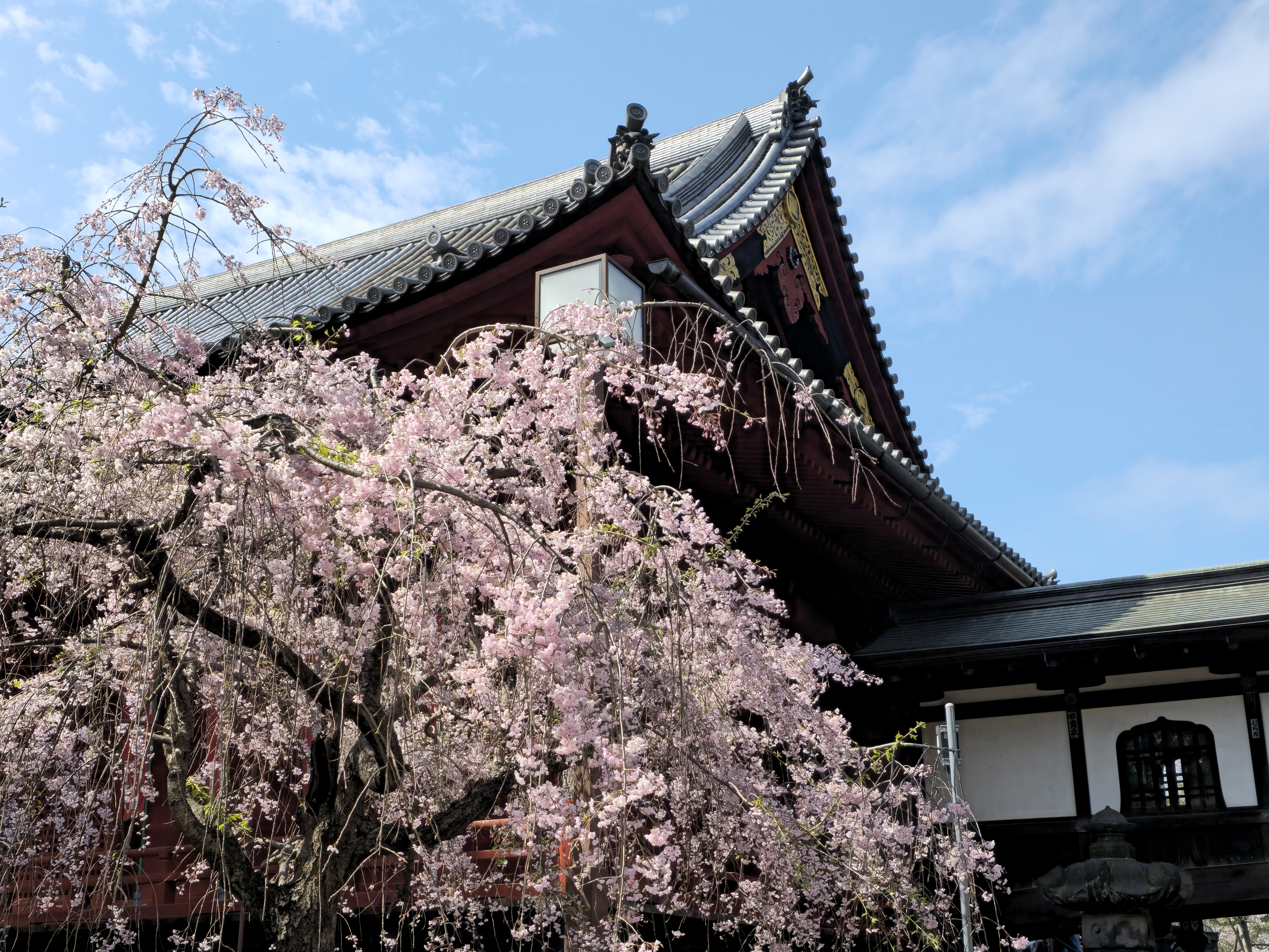 Ueno Park