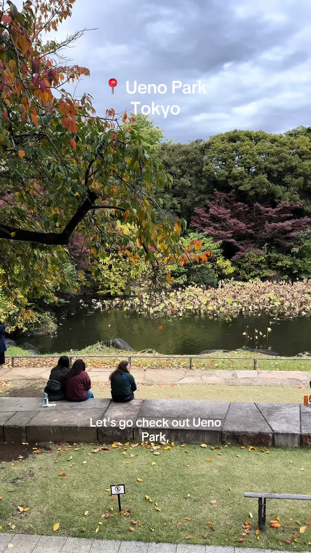 פארק וטירת אוקאצ'י (Ueno Park & Tokyo National Museum באזור Ueno)