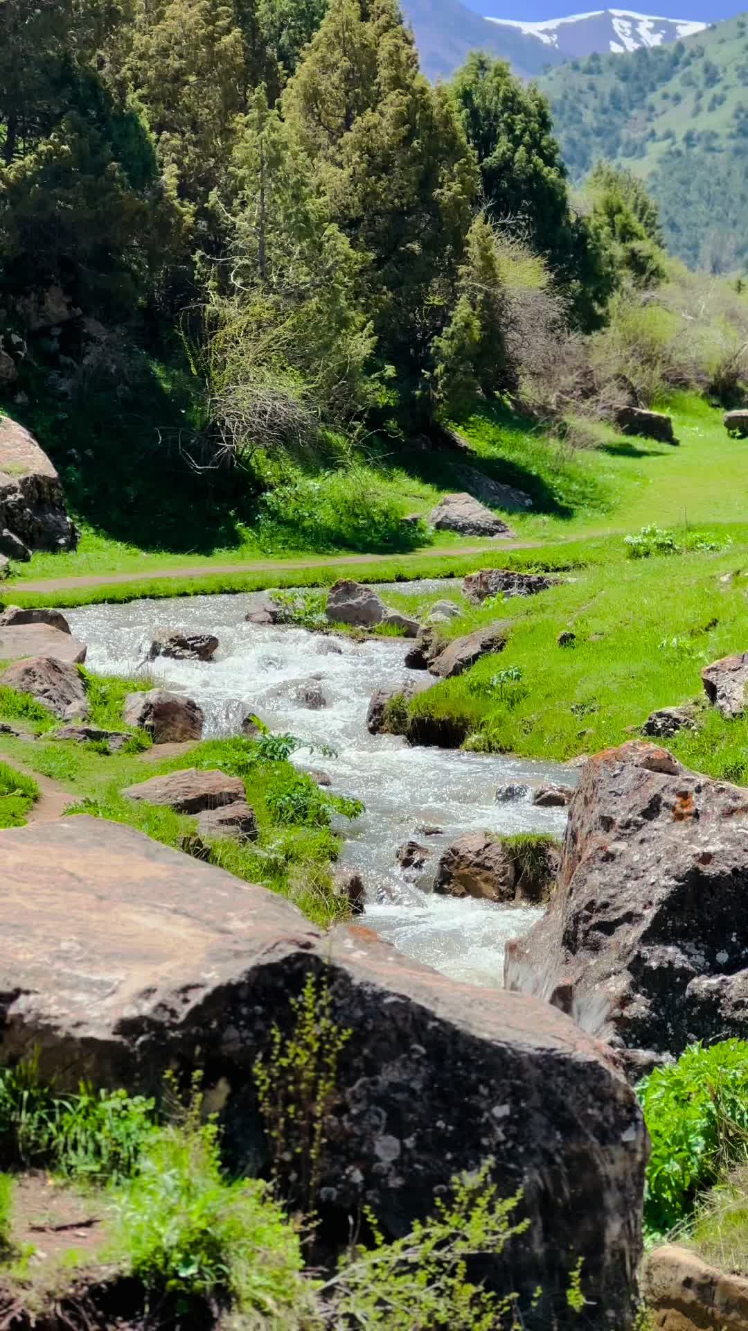 פארק זמין (Zaamin National Park)