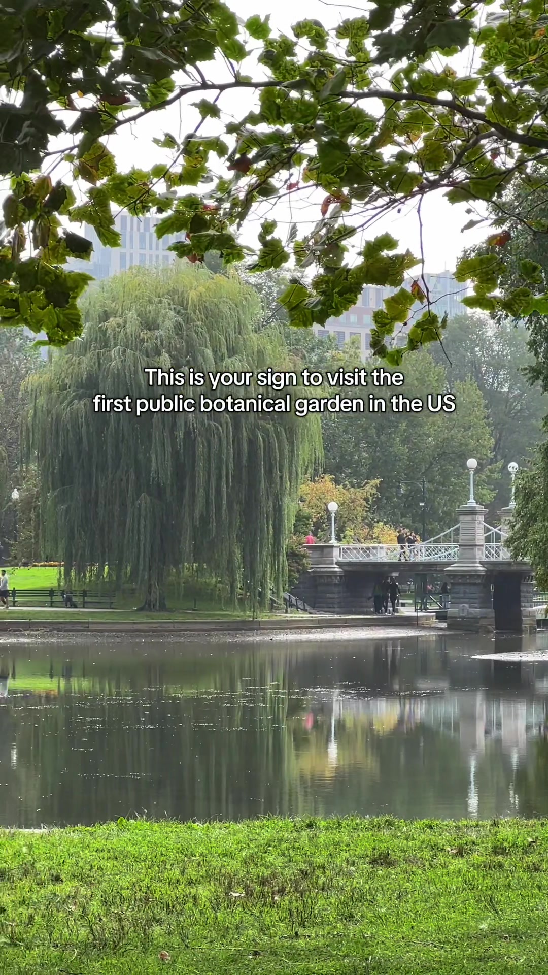Public Garden