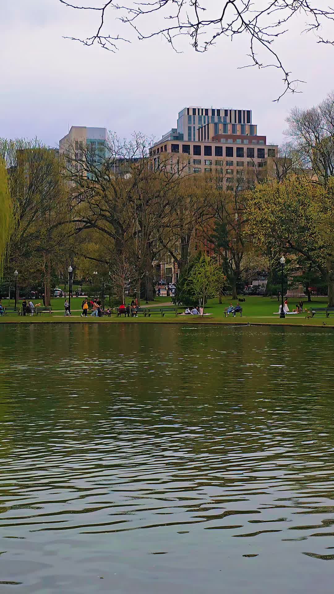 Public Garden