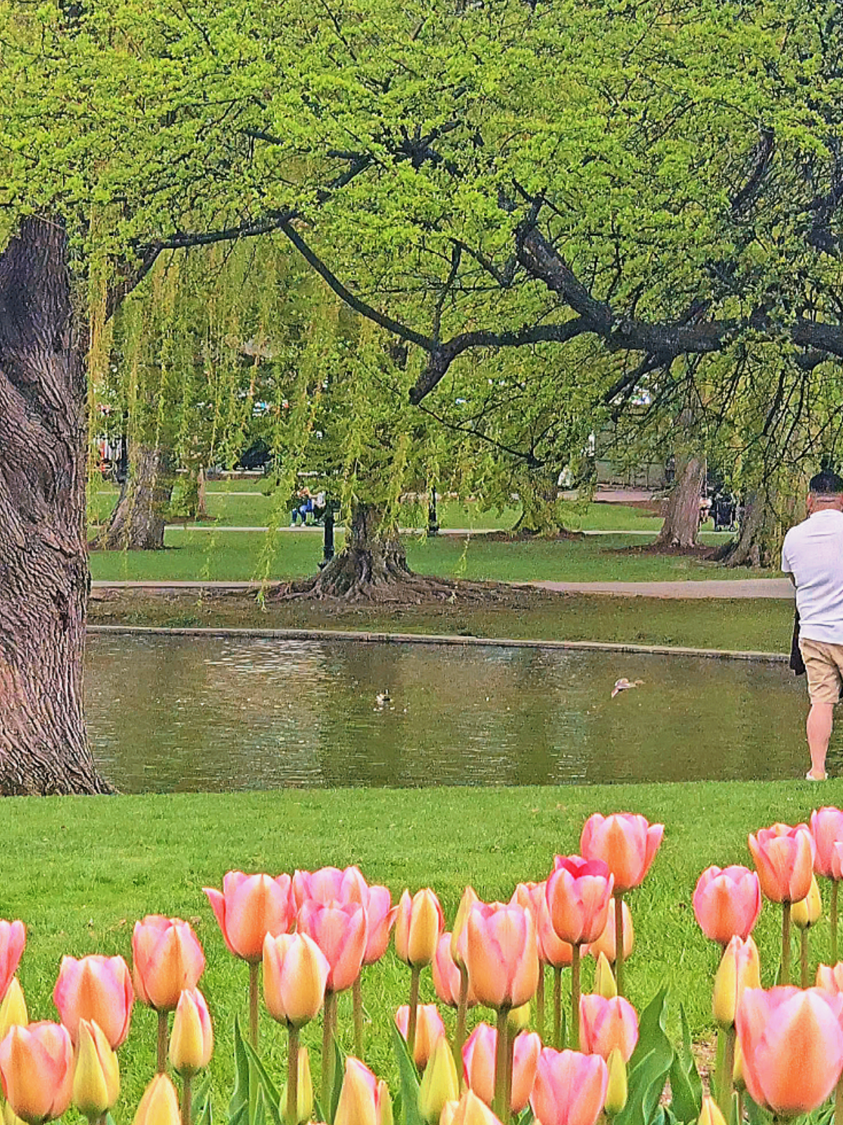 Public Garden