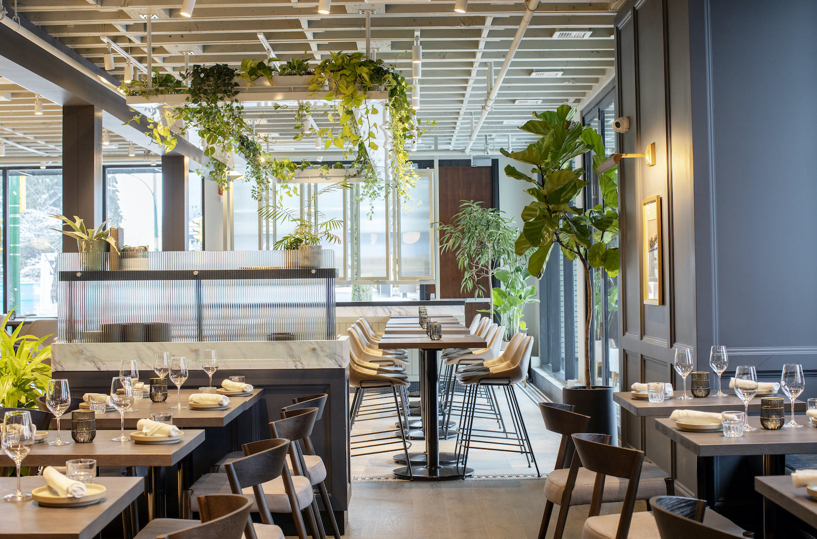 Picture for Published on Main