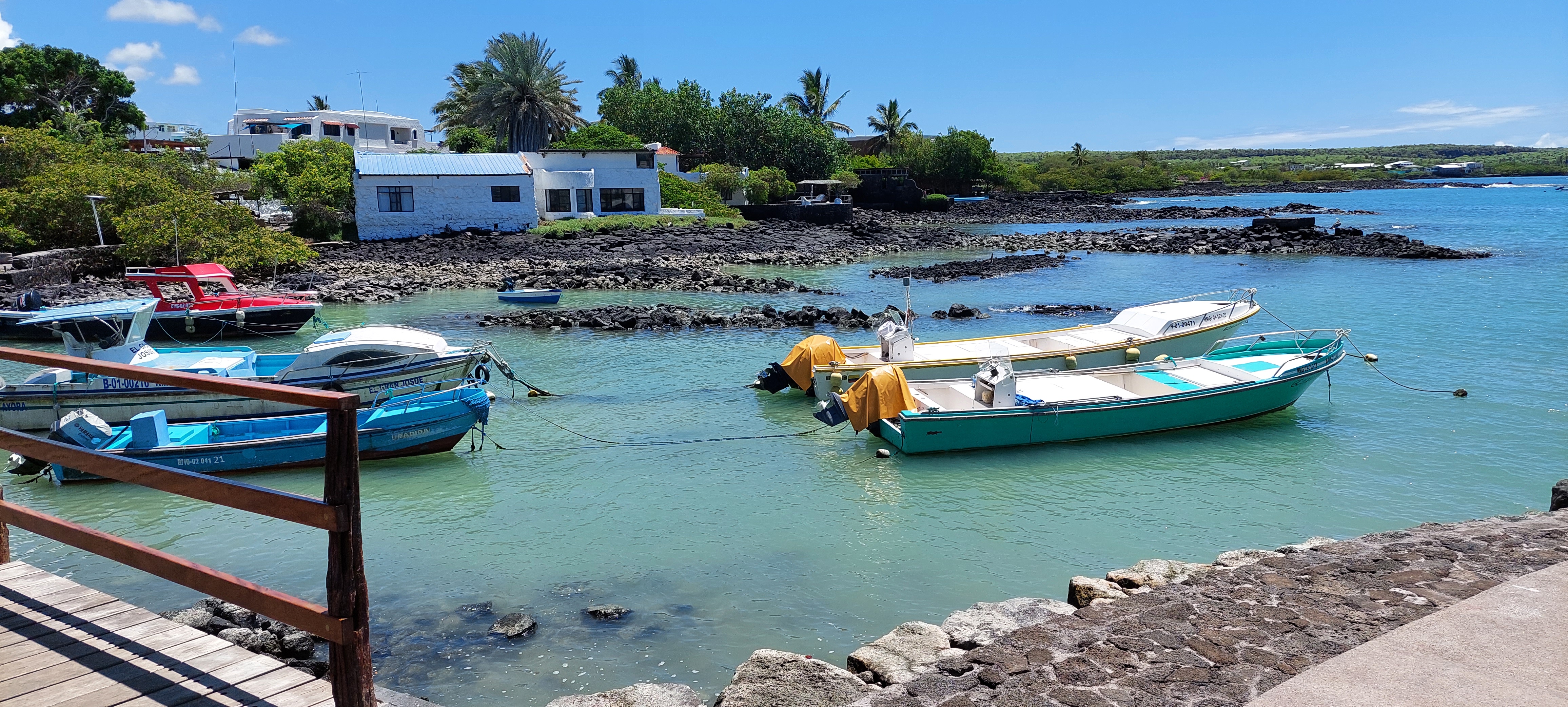 Puerto Ayora (Galápagos)