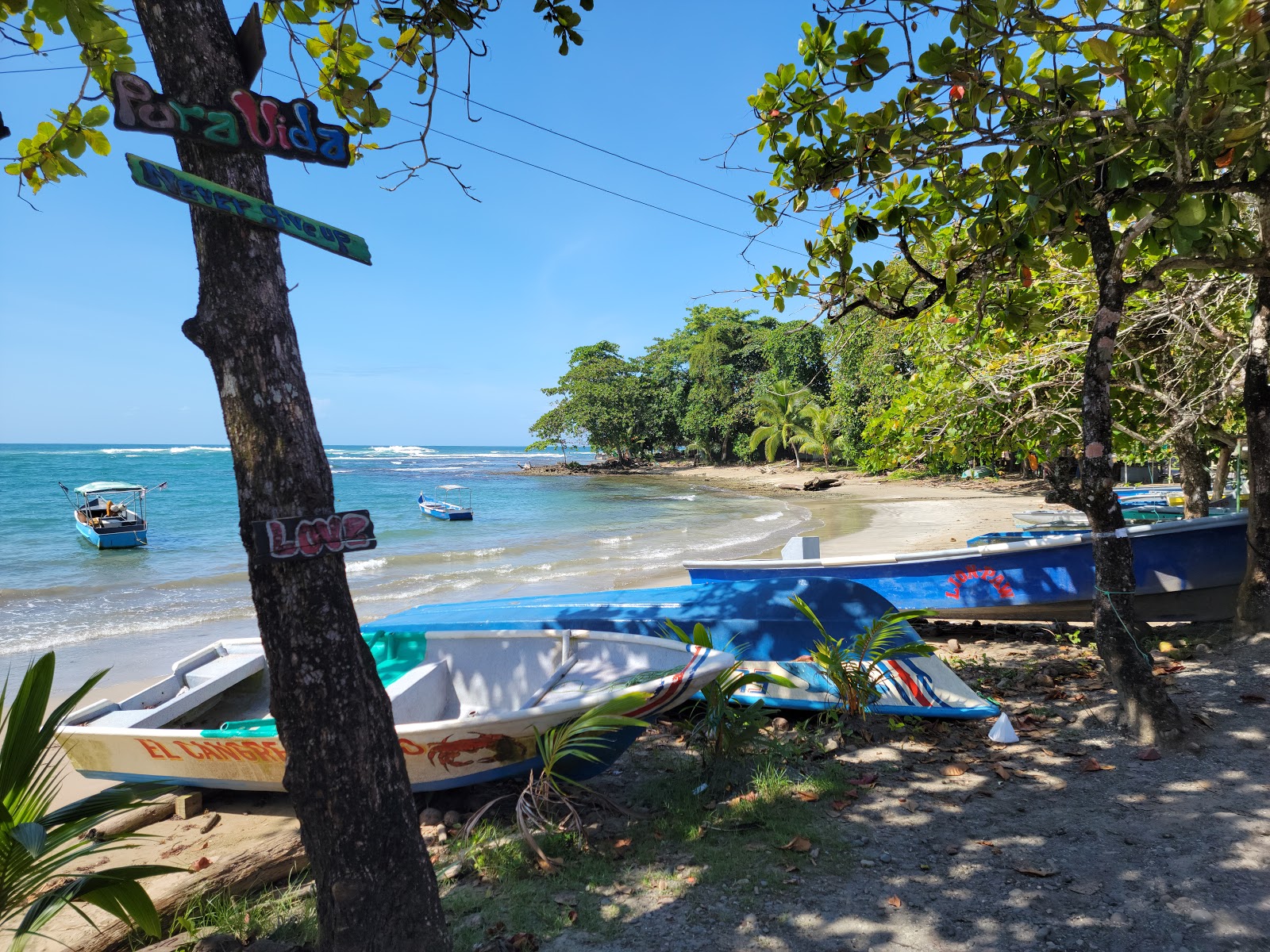 Puerto Viejo de Talamanca