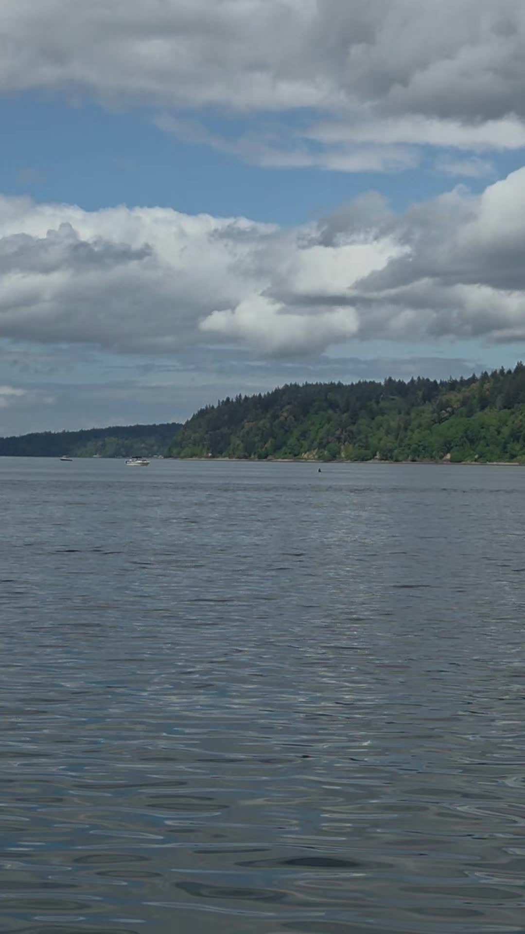 Puget Sound