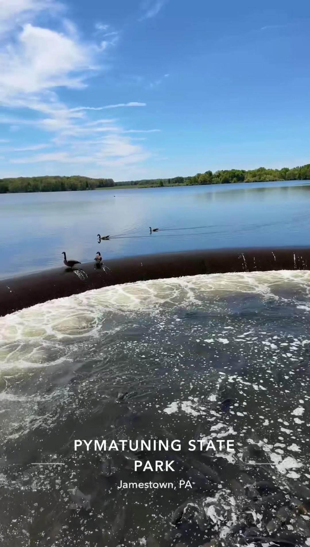 Pymatuning State Park