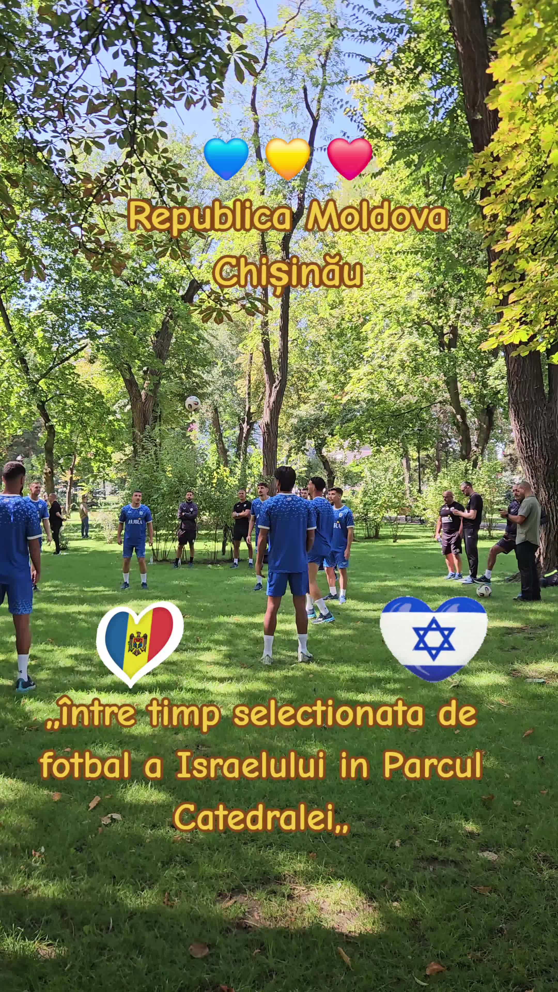 קתדרלת המולד