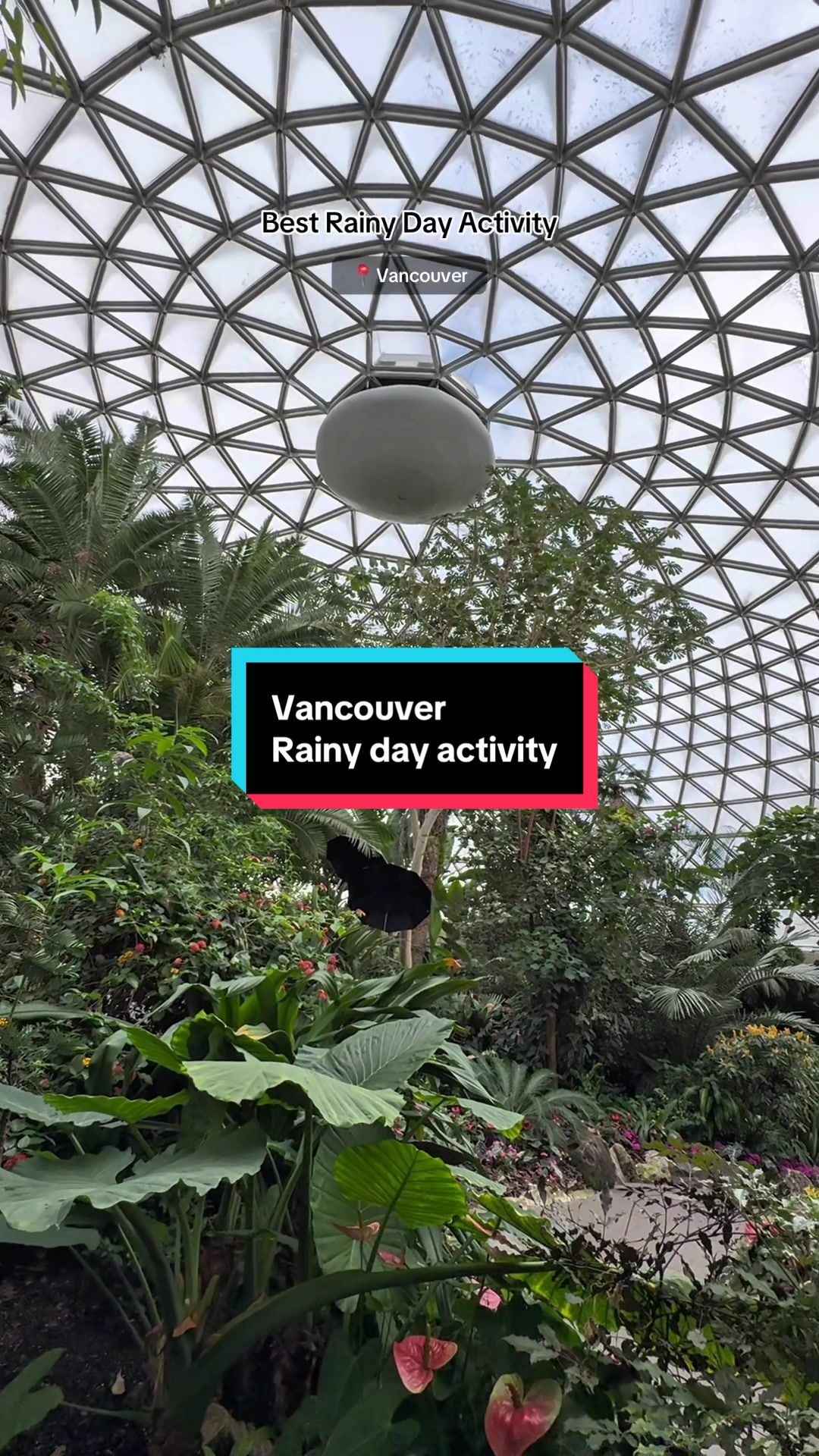 Queen Elizabeth Park - Bloedel Conservatory (Vancouver)