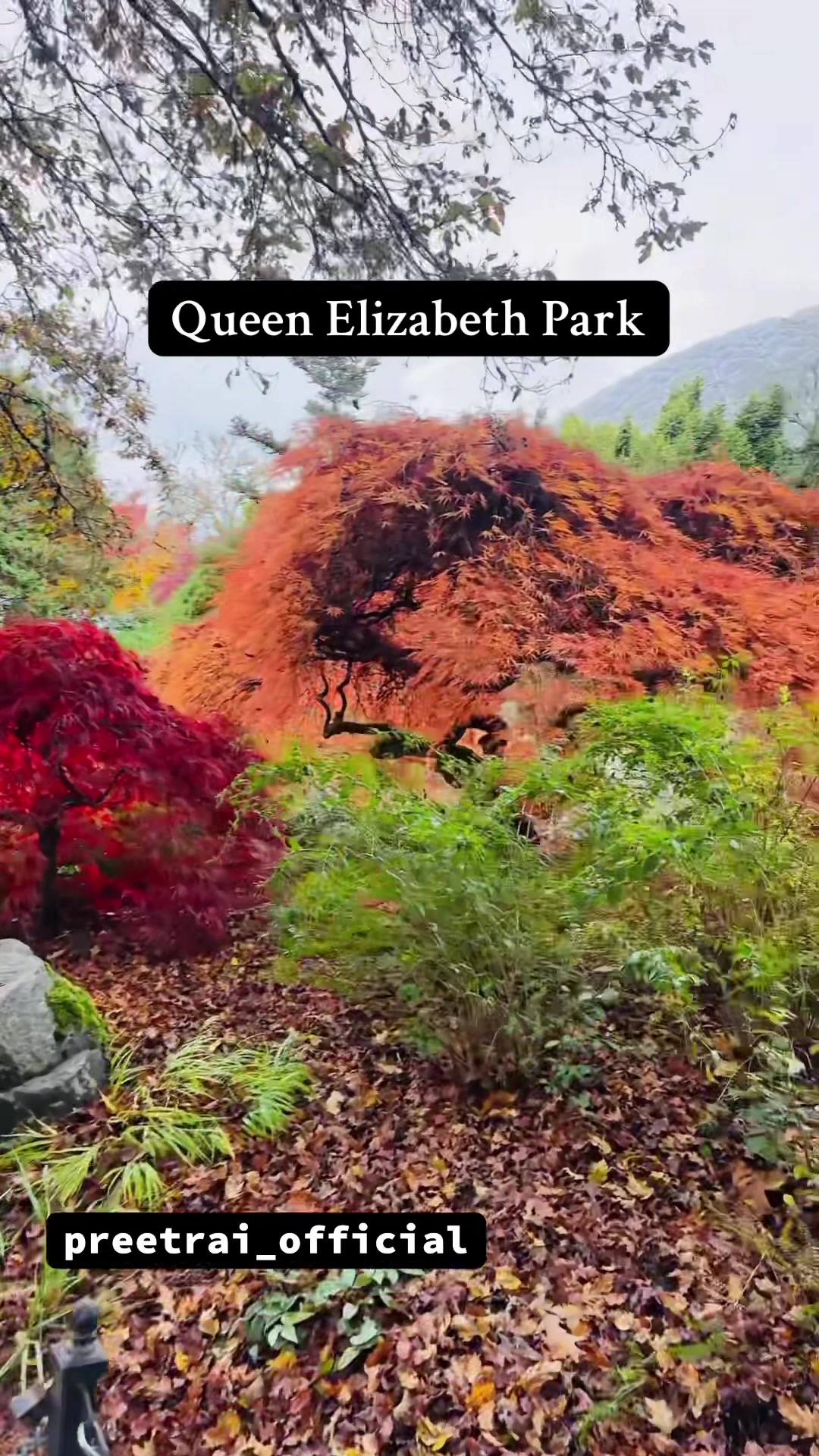 Queen Elizabeth Park