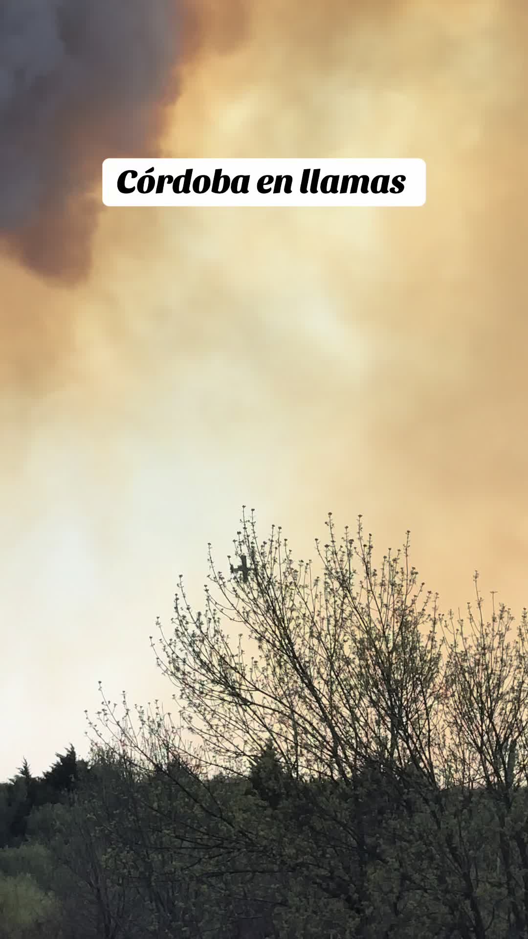 קורדובה