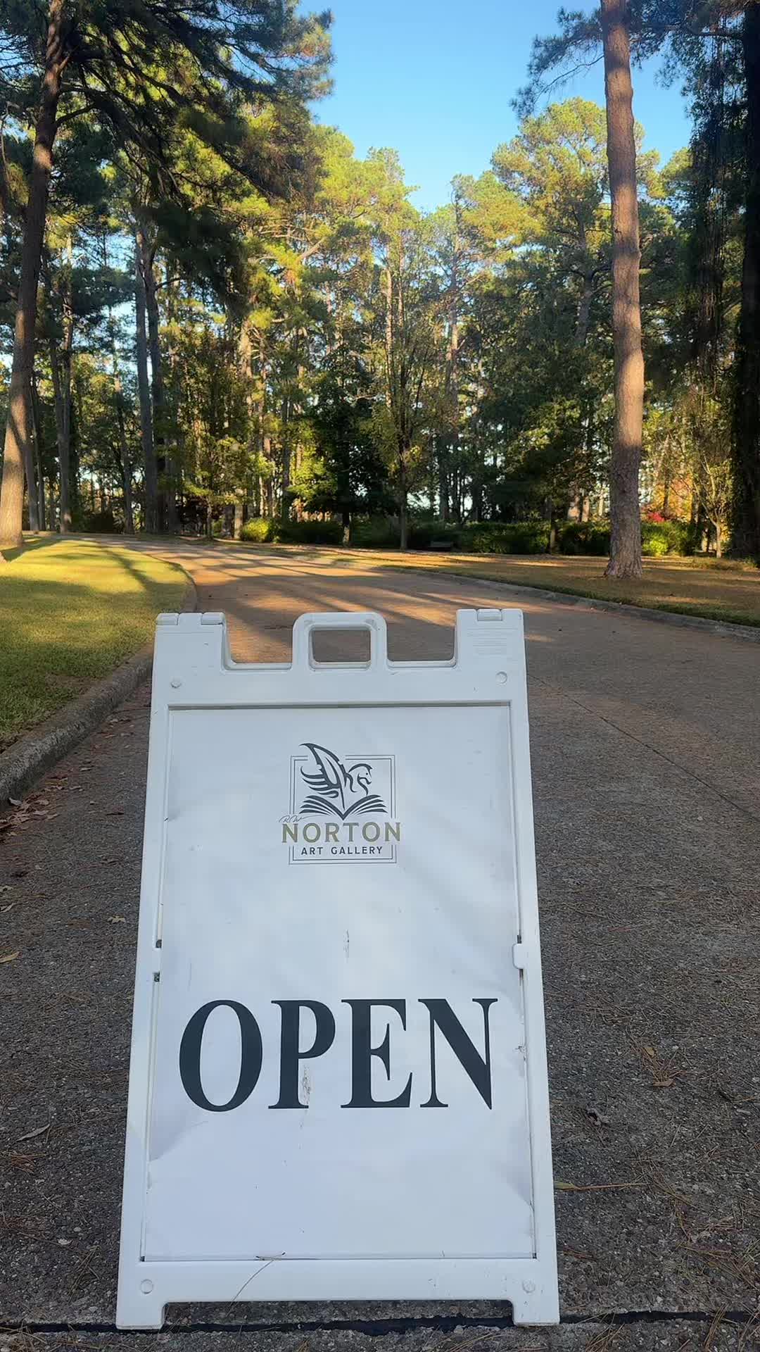 R.W. Norton Art Gallery, Shreveport