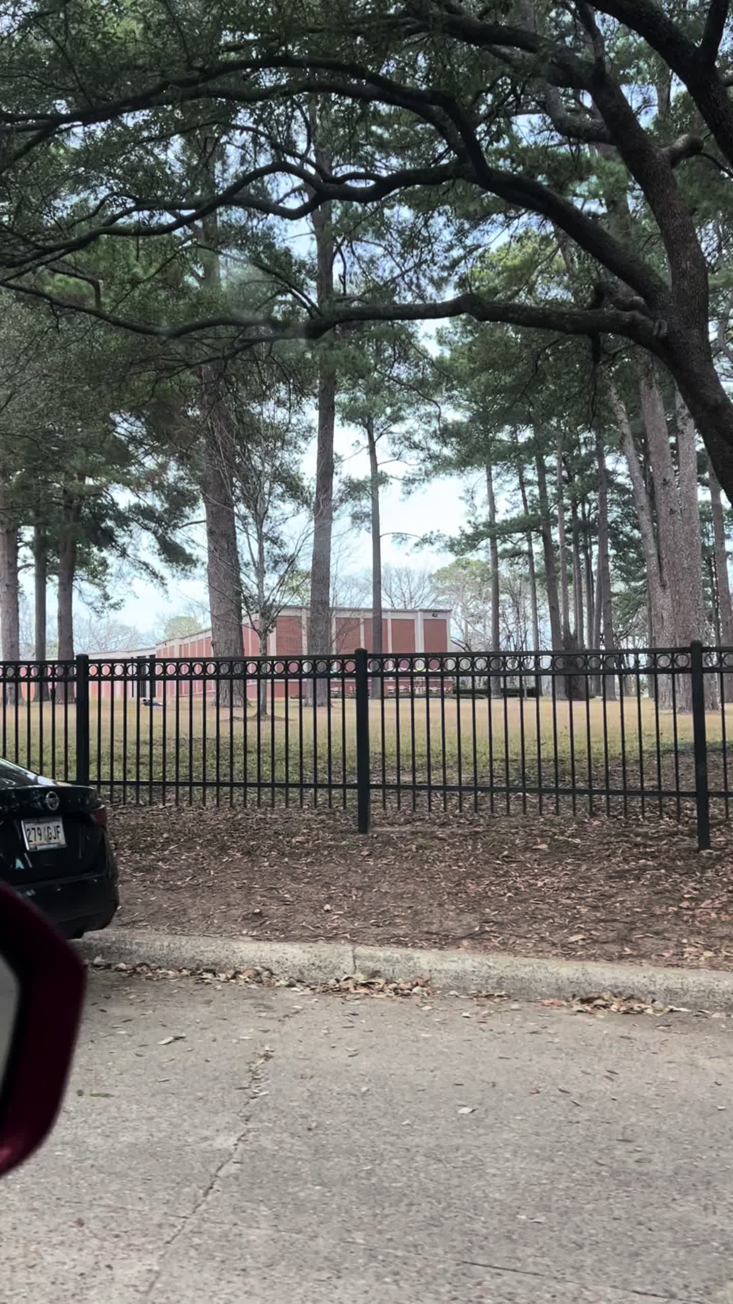 R.W. Norton Art Gallery, Shreveport