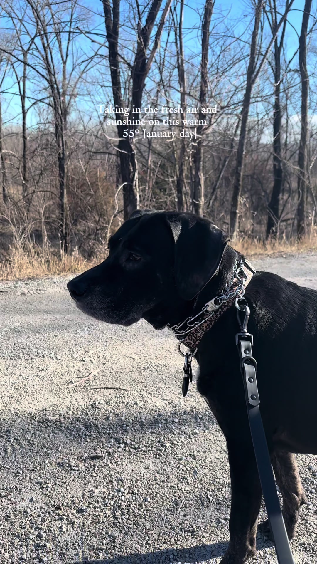 Raccoon River Dog Park