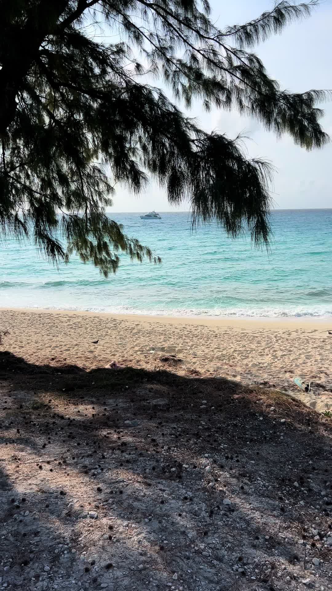 Radio Beach, Bimini