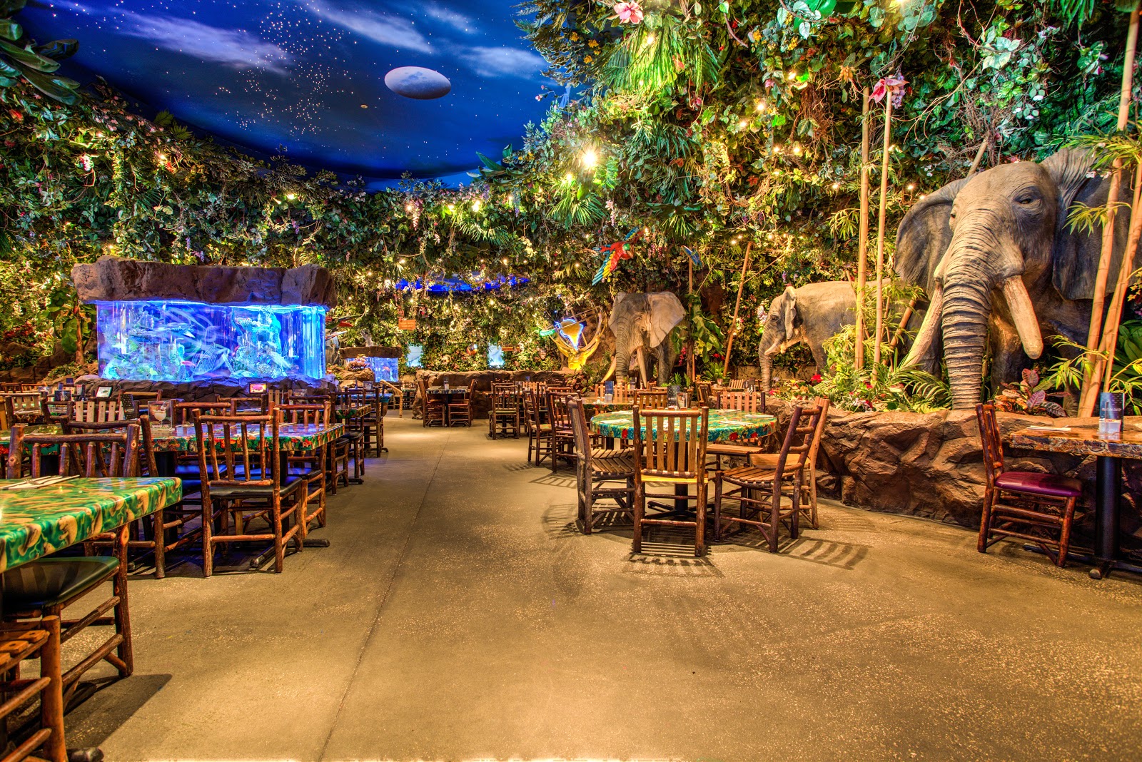 Picture for Rainforest Cafe