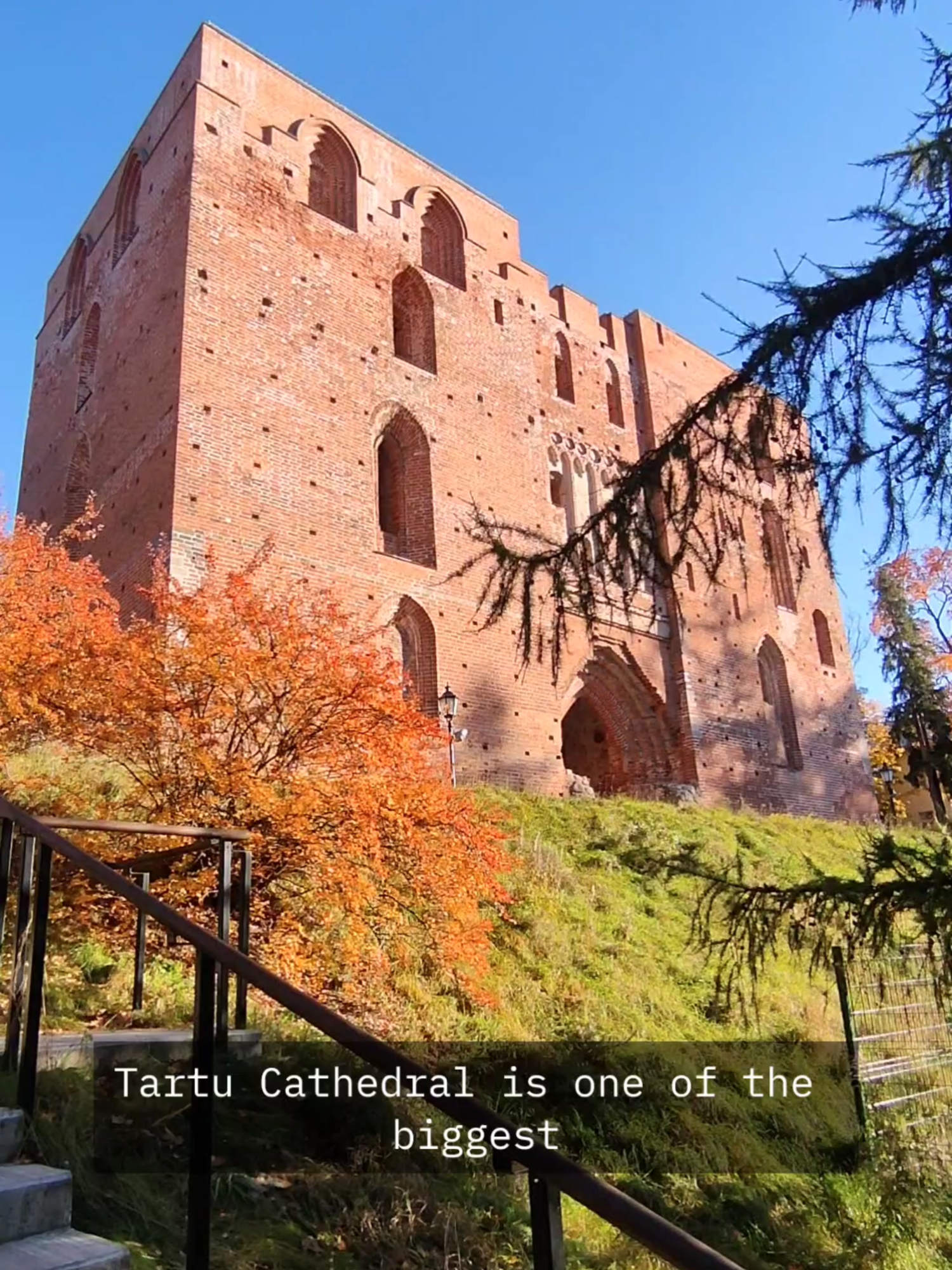 Rakvere Castle (טירת רקוורה)