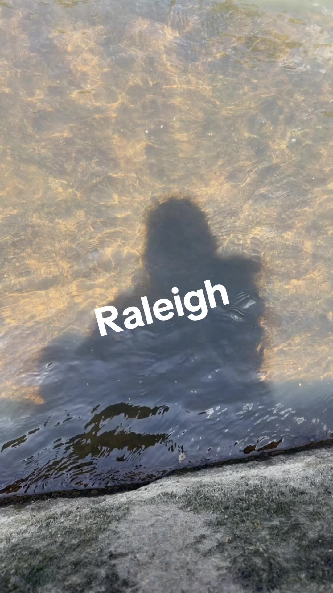 Raleigh, NC