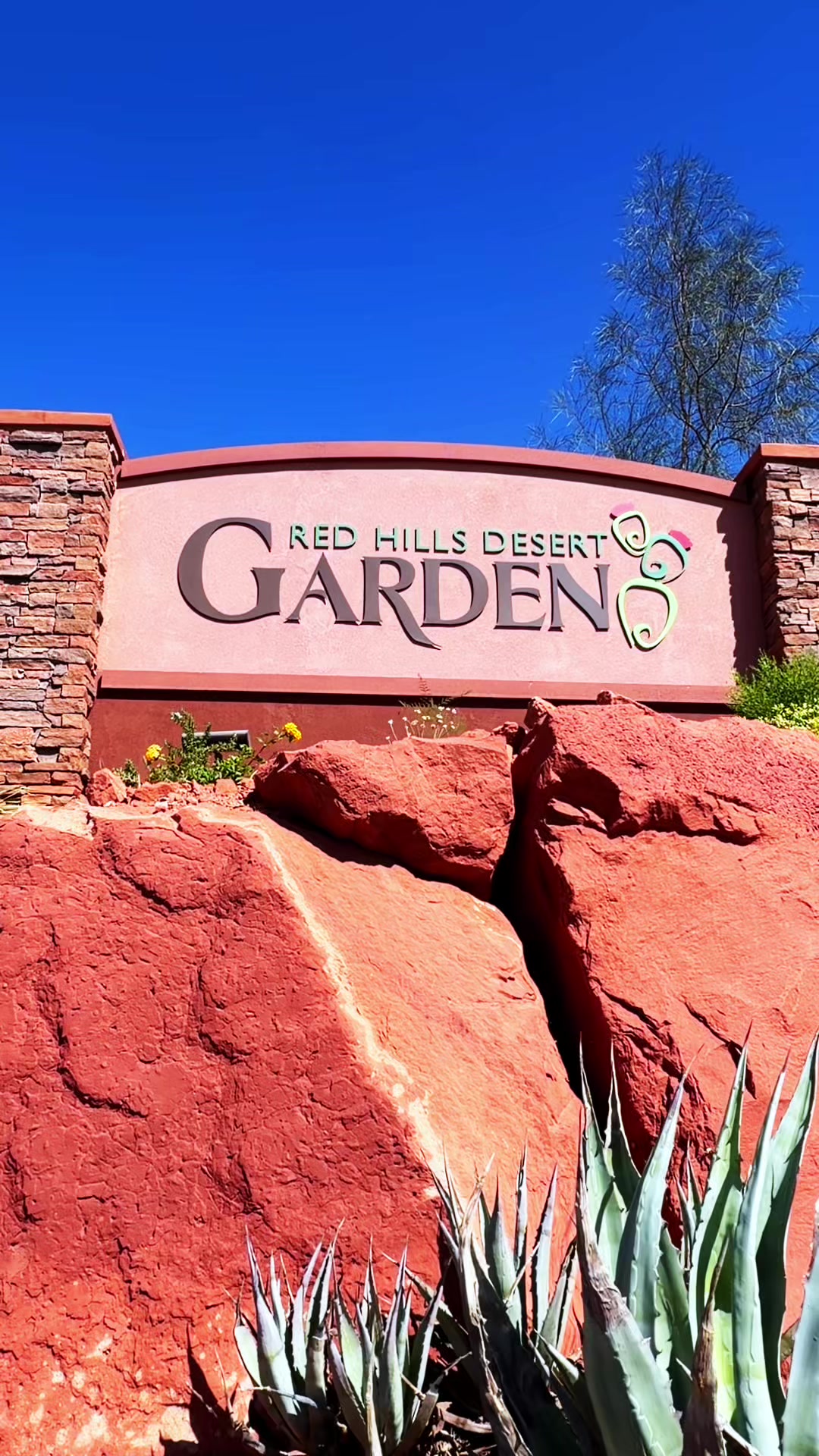 Red Hills Desert Garden