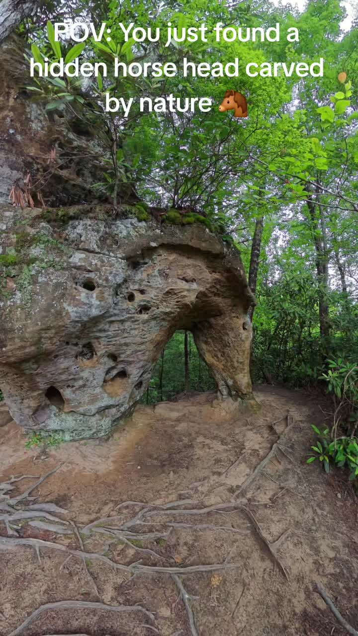 Red River Gorge Geological Area (Daniel Boone National Forest)