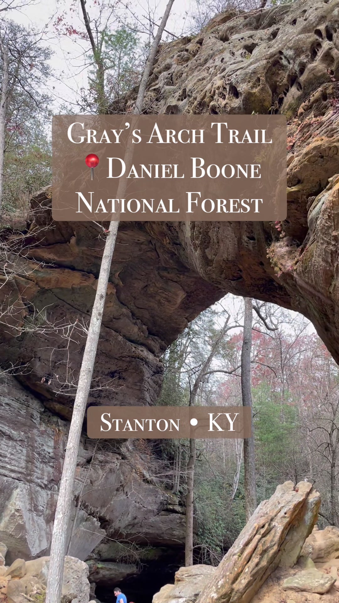 Red River Gorge Geological Area (Daniel Boone National Forest)