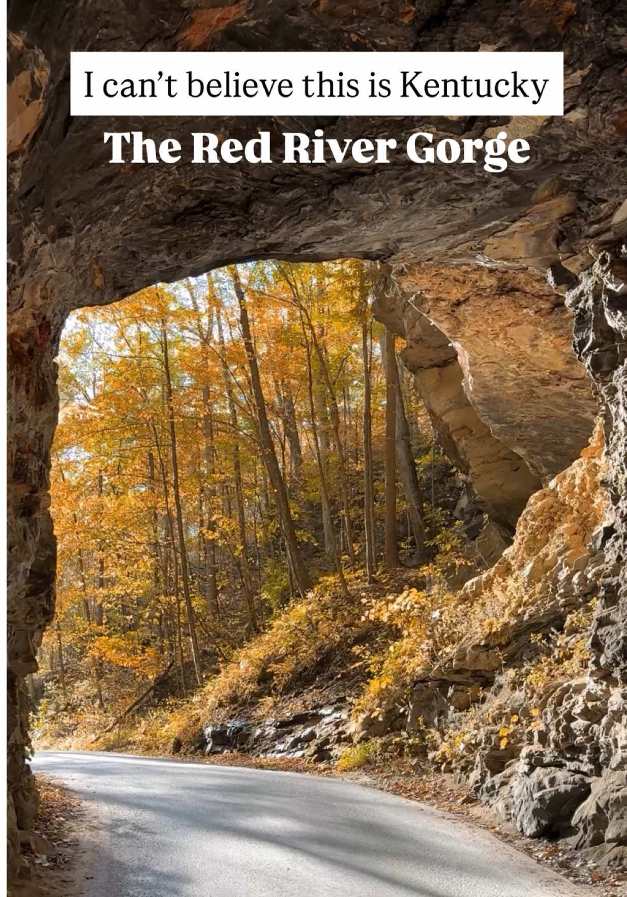 Red River Gorge Geological Area (Slade, KY)