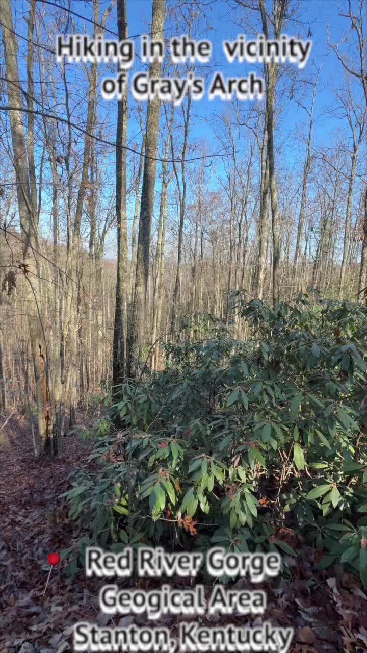 Red River Gorge Geological Area (Slade, KY)